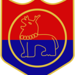 Manipur Police print Tshirt